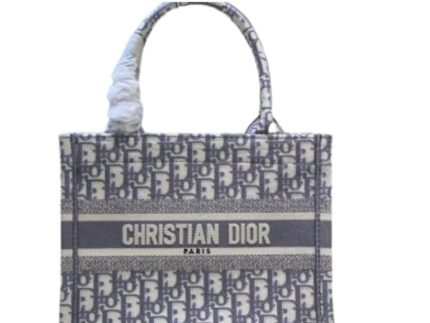Christian Dior Small Dior Book Tote Violet, For Women, Women’s Handbags 26.5cm/10.5in CD